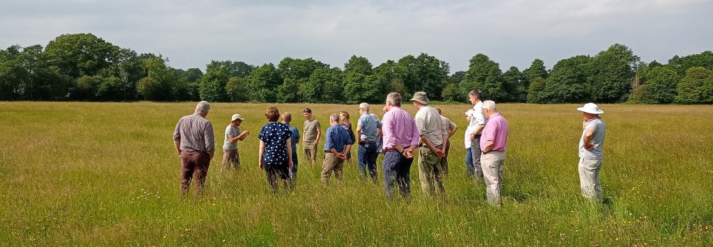 Landowners standing in a meadow fo wild flowers.