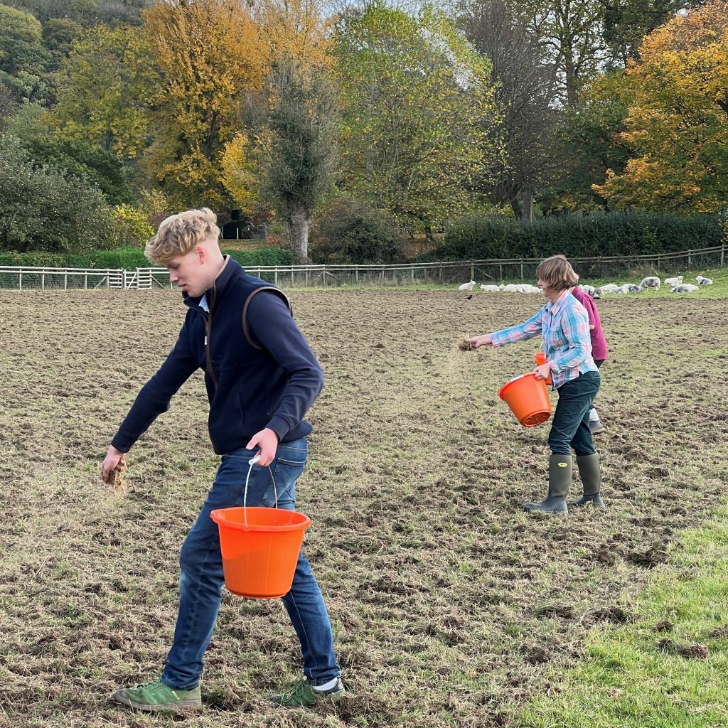 Volunteers Sowing meadow seed