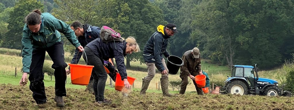 Volunteer sowing wild flower seed